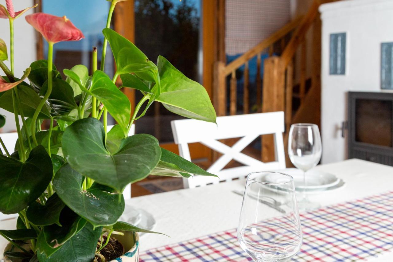 Casele Cu Stuf B&B Haus Ulrike Salicea Экстерьер фото