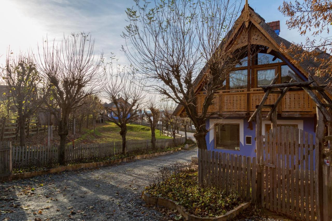 Casele Cu Stuf B&B Haus Ulrike Salicea Экстерьер фото
