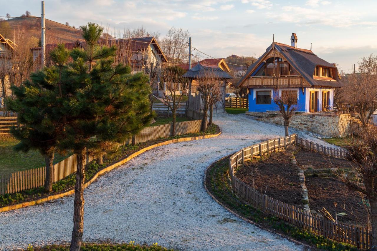 Casele Cu Stuf B&B Haus Ulrike Salicea Экстерьер фото