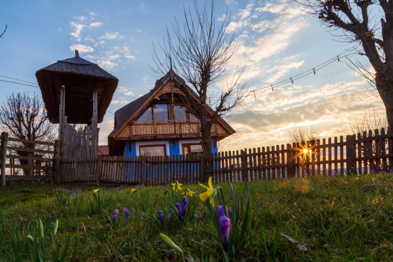 Casele Cu Stuf B&B Haus Ulrike Salicea Экстерьер фото