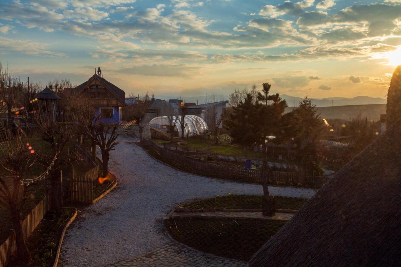 Casele Cu Stuf B&B Haus Ulrike Salicea Экстерьер фото