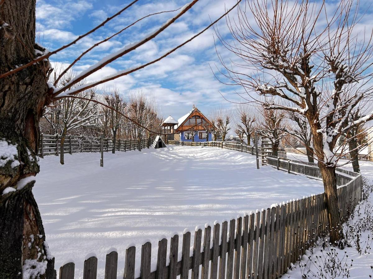 Casele Cu Stuf B&B Haus Ulrike Salicea Экстерьер фото