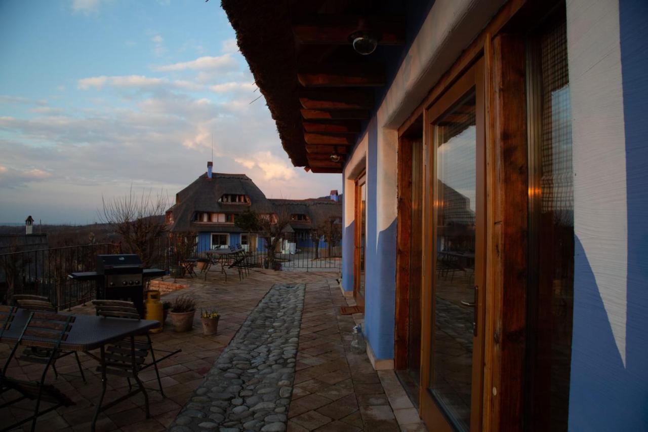 Casele Cu Stuf B&B Haus Ulrike Salicea Экстерьер фото