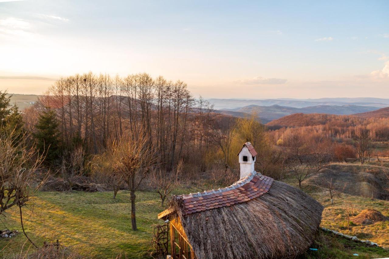 Casele Cu Stuf B&B Haus Ulrike Salicea Экстерьер фото