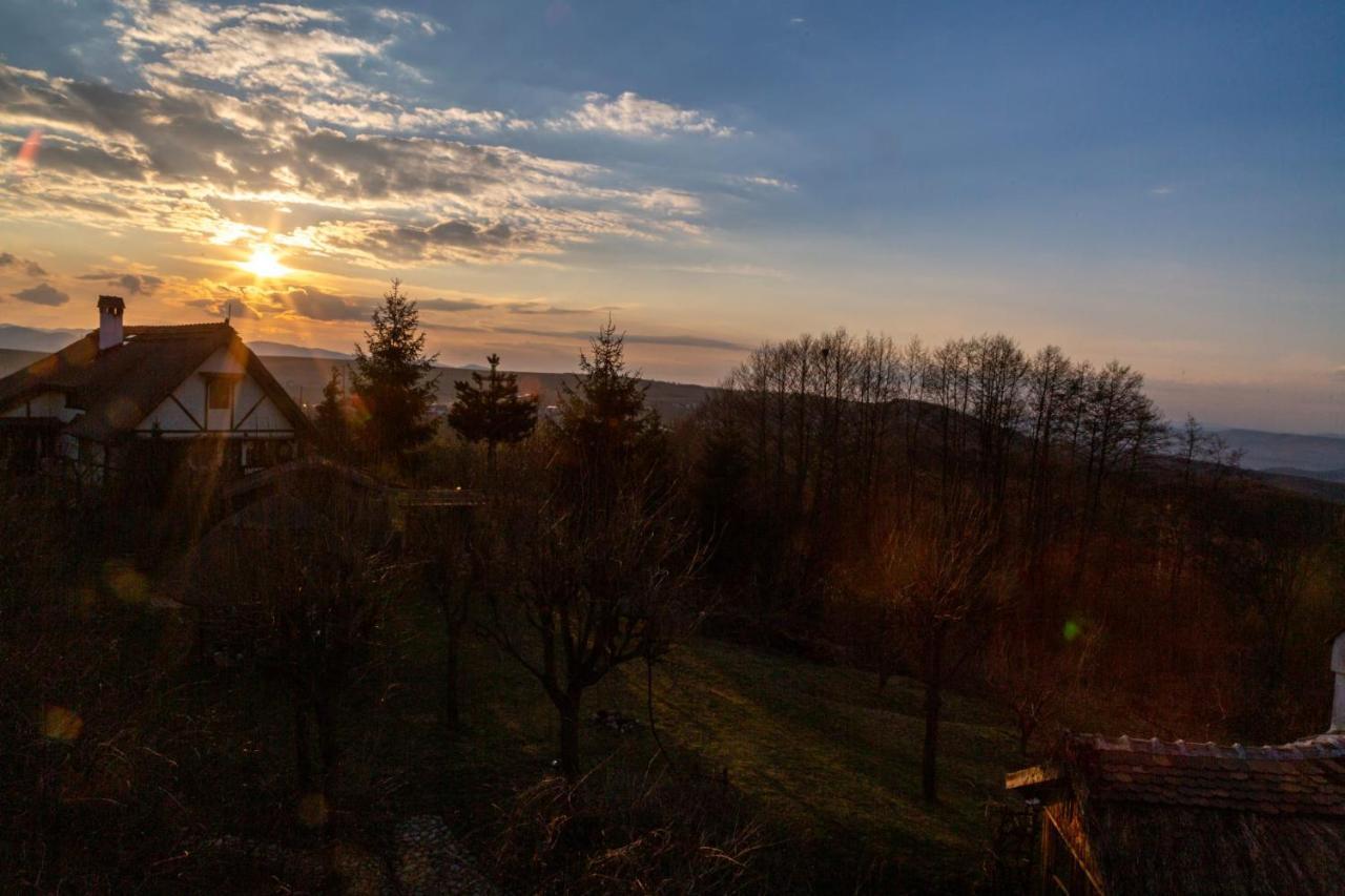 Casele Cu Stuf B&B Haus Ulrike Salicea Экстерьер фото