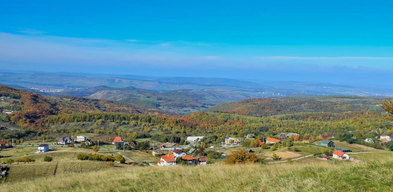 Casele Cu Stuf B&B Haus Ulrike Salicea Экстерьер фото