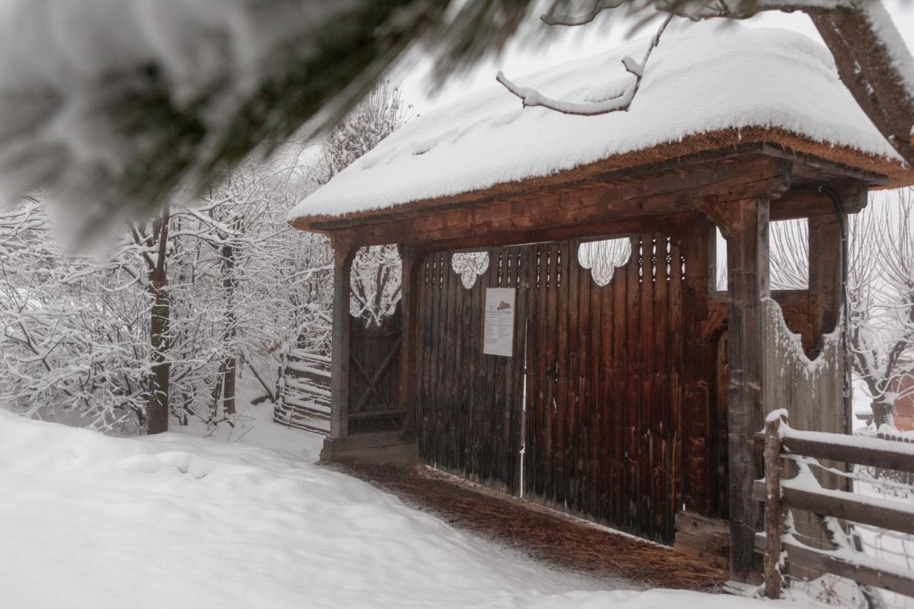 Casele Cu Stuf B&B Haus Ulrike Salicea Экстерьер фото