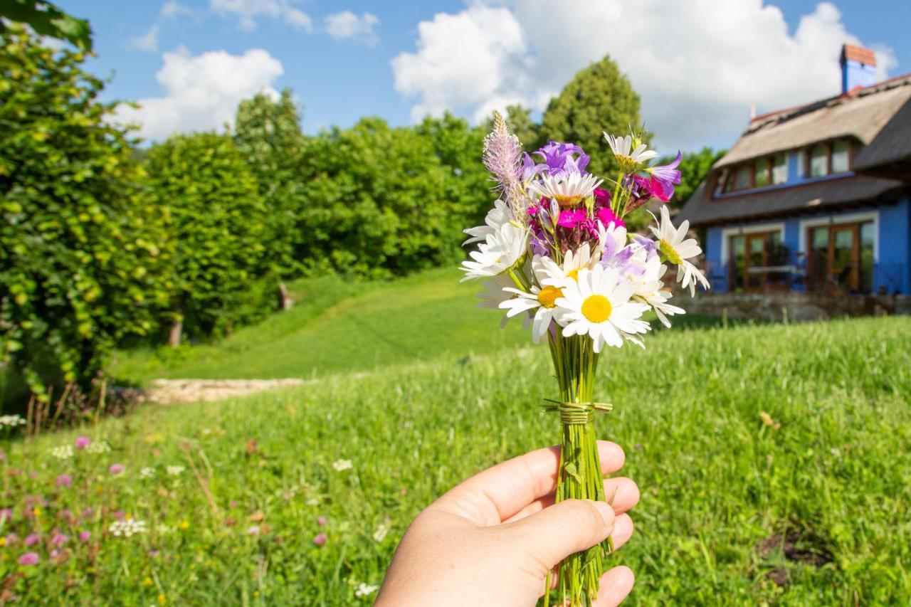 Casele Cu Stuf B&B Haus Ulrike Salicea Экстерьер фото