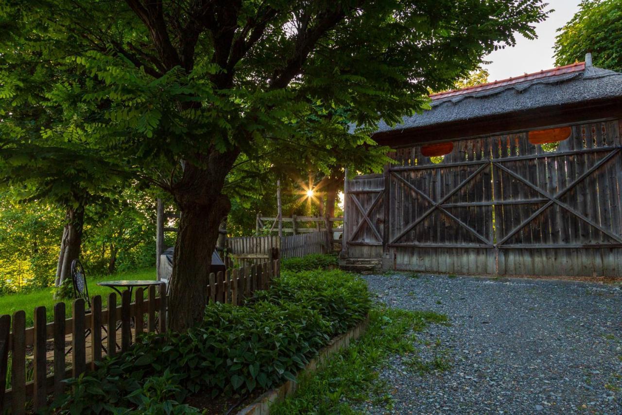 Casele Cu Stuf B&B Haus Ulrike Salicea Экстерьер фото